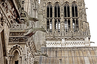 Cathedrale_636-M.jpg